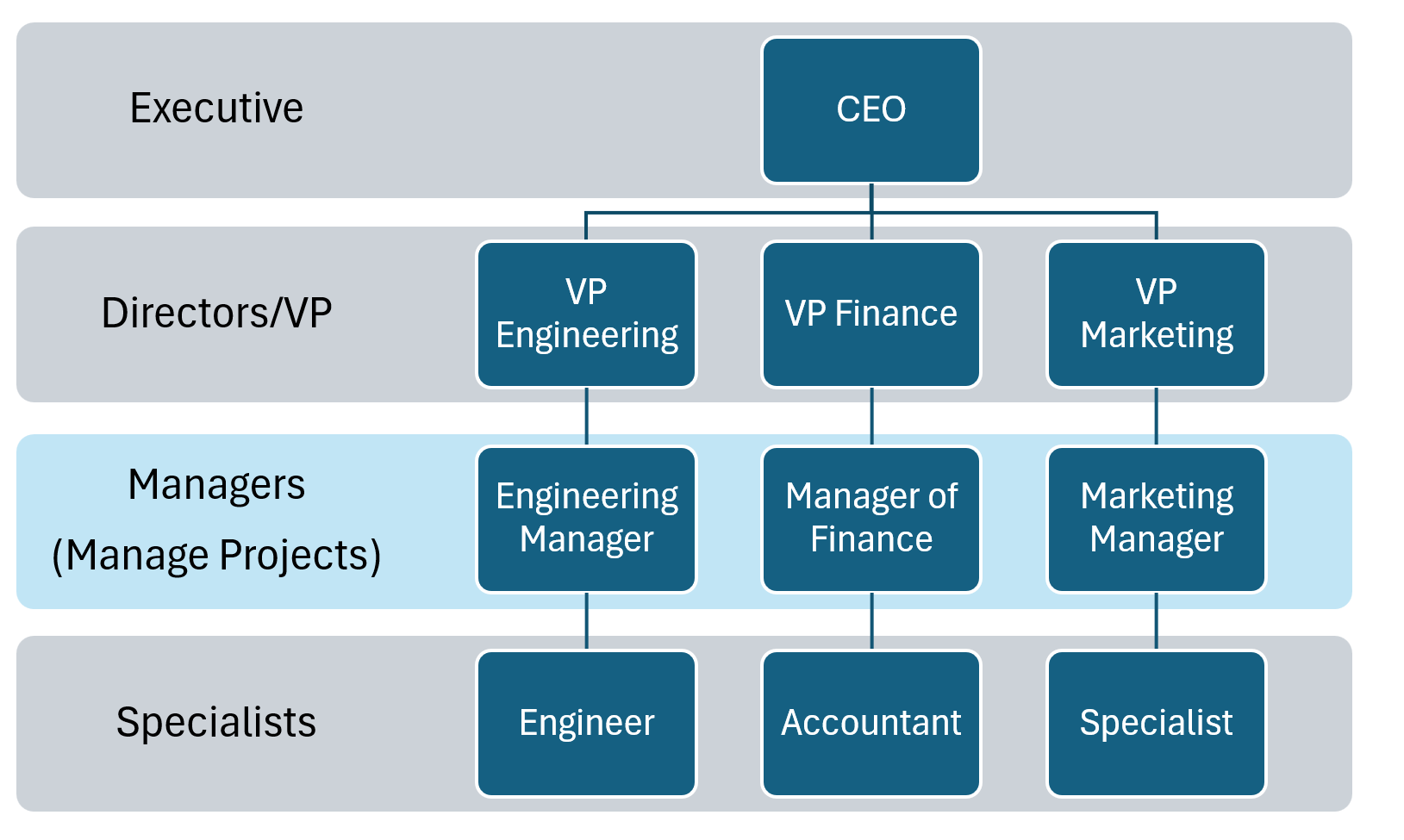 Organizational Structure | Leadership for Project Managers